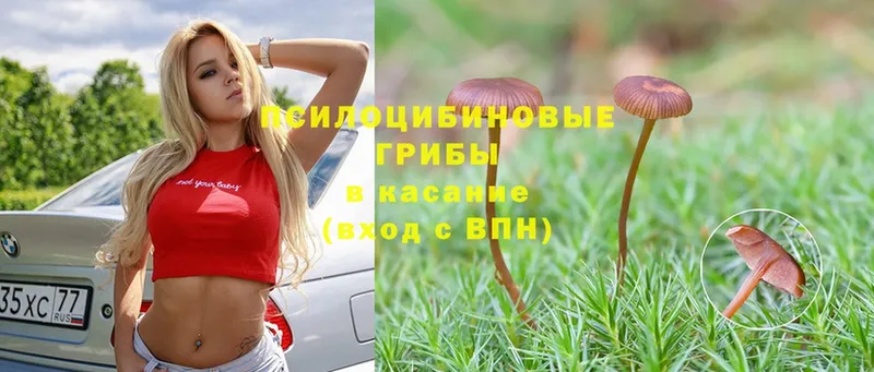 Галлюциногенные грибы MAGIC MUSHROOMS  как найти наркотики  Абинск 